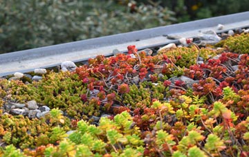 the cost of Poundford green roof installation