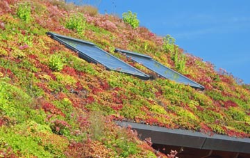 Poundford living roof systems